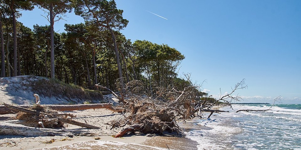 Weststrand auf dem Darß Ostsee