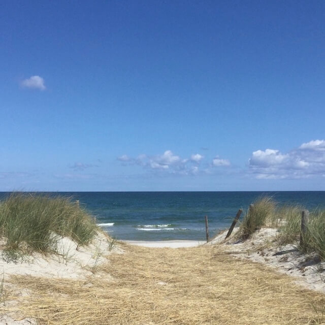 Düne am Ostseestrand von Zingst